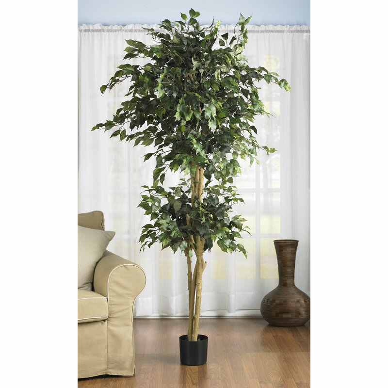 nearly-natural-72-artificial-ficus-tree-in-pot-reviews-wayfair